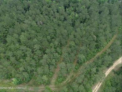 84.94+/- acres in Lincoln County, MS located just out of Wesson - photo 10