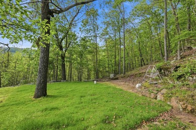 Seller has been original owner since she had the home built in - photo 49