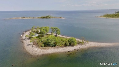 Opportunities like this are exceedingly rare. Betts Island is - photo 2