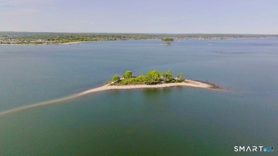 Opportunities like this are exceedingly rare. Betts Island is - photo 3