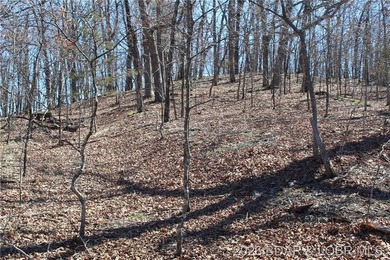 Hard-to-find 5-acre wooded tract with F Highway frontage in the - photo 12