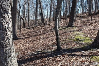 Hard-to-find 5-acre wooded tract with F Highway frontage in the - photo 13