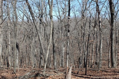 Hard-to-find 5-acre wooded tract with F Highway frontage in the - photo 14