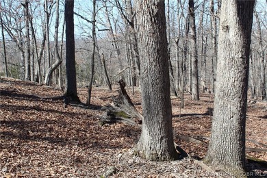 Hard-to-find 5-acre wooded tract with F Highway frontage in the - photo 15