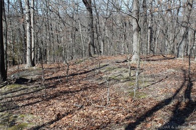 Hard-to-find 5-acre wooded tract with F Highway frontage in the - photo 16
