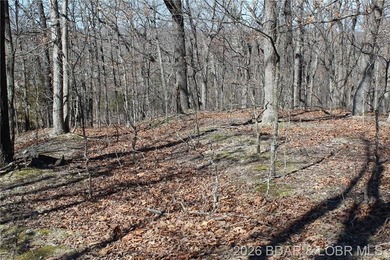 Hard-to-find 5-acre wooded tract with F Highway frontage in the - photo 16