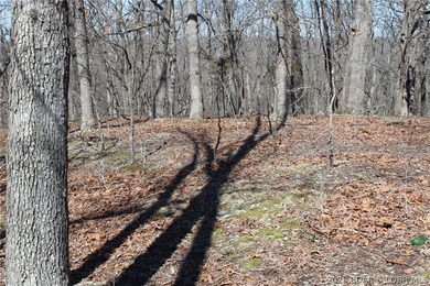 Hard-to-find 5-acre wooded tract with F Highway frontage in the - photo 17