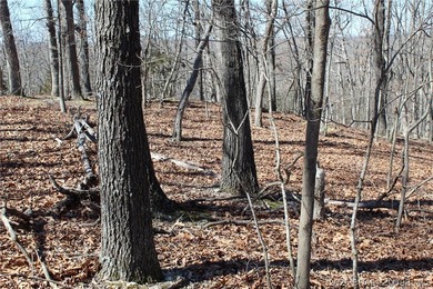 Hard-to-find 5-acre wooded tract with F Highway frontage in the - photo 19
