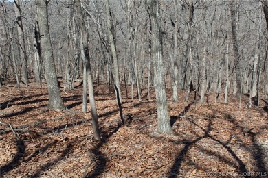 Hard-to-find 5-acre wooded tract with F Highway frontage in the - photo 21