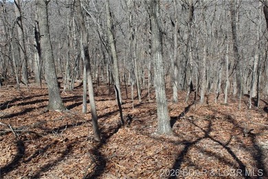 Hard-to-find 5-acre wooded tract with F Highway frontage in the - photo 21