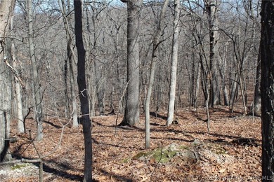 Hard-to-find 5-acre wooded tract with F Highway frontage in the - photo 22