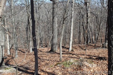 Hard-to-find 5-acre wooded tract with F Highway frontage in the - photo 22