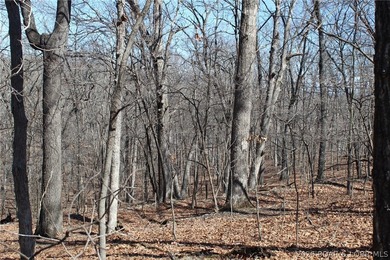 Hard-to-find 5-acre wooded tract with F Highway frontage in the - photo 23