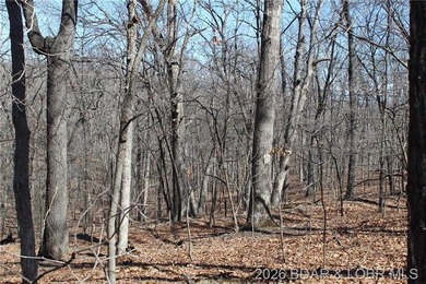 Hard-to-find 5-acre wooded tract with F Highway frontage in the - photo 23