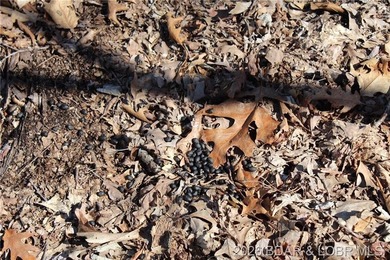 Hard-to-find 5-acre wooded tract with F Highway frontage in the - photo 24