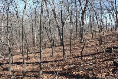 Hard-to-find 5-acre wooded tract with F Highway frontage in the - photo 25