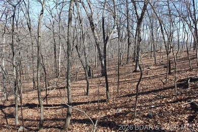 Hard-to-find 5-acre wooded tract with F Highway frontage in the - photo 25