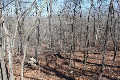 Hard-to-find 5-acre wooded tract with F Highway frontage in the - photo 26