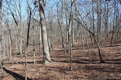 Hard-to-find 5-acre wooded tract with F Highway frontage in the - photo 27