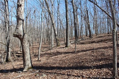 Hard-to-find 5-acre wooded tract with F Highway frontage in the - photo 28