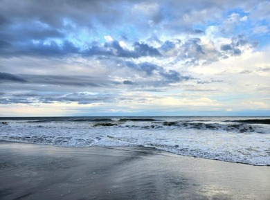 Welcome to one of the most desirable ocean-view locations inside - photo 28