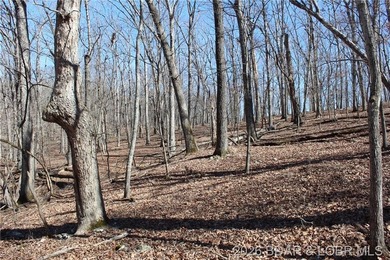 Hard-to-find 5-acre wooded tract with F Highway frontage in the - photo 28