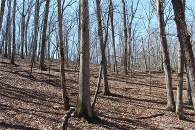 Hard-to-find 5-acre wooded tract with F Highway frontage in the - photo 30