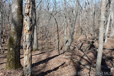 Hard-to-find 5-acre wooded tract with F Highway frontage in the - photo 31