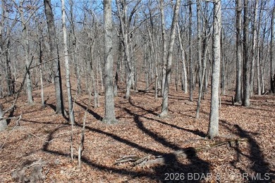 Hard-to-find 5-acre wooded tract with F Highway frontage in the - photo 32