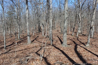 Hard-to-find 5-acre wooded tract with F Highway frontage in the - photo 33