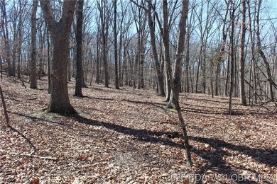 Hard-to-find 5-acre wooded tract with F Highway frontage in the - photo 34