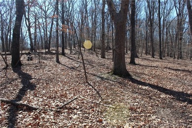 Hard-to-find 5-acre wooded tract with F Highway frontage in the - photo 35