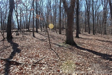 Hard-to-find 5-acre wooded tract with F Highway frontage in the - photo 35