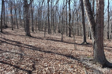 Hard-to-find 5-acre wooded tract with F Highway frontage in the - photo 36
