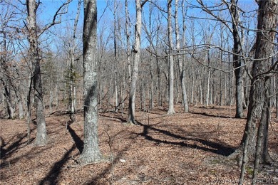 Hard-to-find 5-acre wooded tract with F Highway frontage in the - photo 37