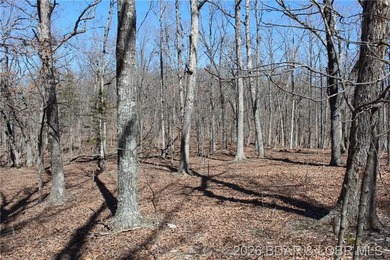 Hard-to-find 5-acre wooded tract with F Highway frontage in the - photo 37
