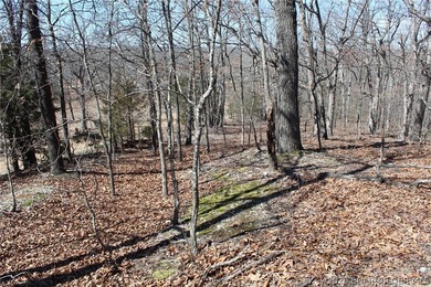 Hard-to-find 5-acre wooded tract with F Highway frontage in the - photo 38