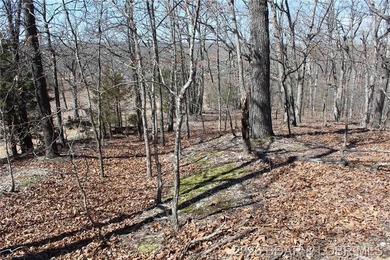 Hard-to-find 5-acre wooded tract with F Highway frontage in the - photo 38
