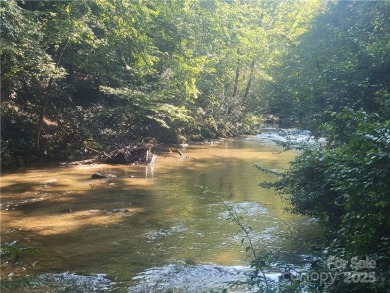 (private lake, pond, creek) Lot For Sale in Tryon North Carolina