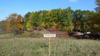 (private lake, pond, creek) Acreage For Sale in Cedar Springs Michigan