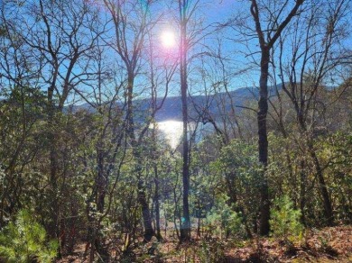WOW 3 incredible land view lots that have been combined for a - Lake Lot For Sale in Nantahala, North Carolina