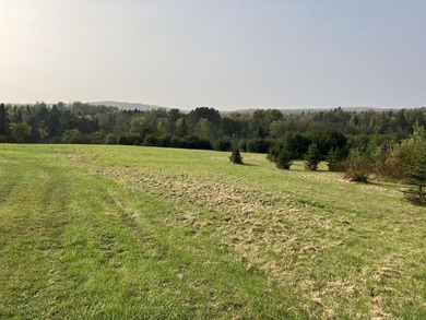 1000 ft water frontage on Fish river!! A recreational dream! - photo 22