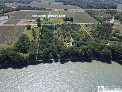 Lake Erie Acreage For Sale in Westfield New York