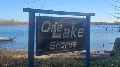 Build site with access to All Sports Ore Lake. Located in the - photo 3