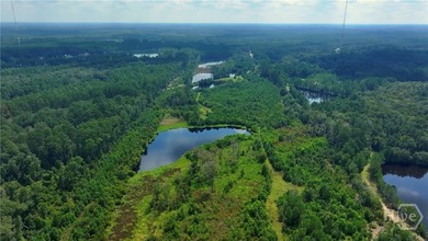 Located along the serene stretch of Fort Argyle Road, this 62 - photo 1
