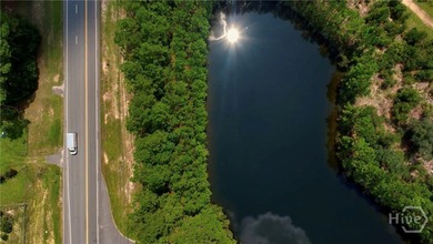 Located along the serene stretch of Fort Argyle Road, this 62 - photo 3