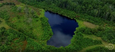 Located along the serene stretch of Fort Argyle Road, this 62 - photo 4