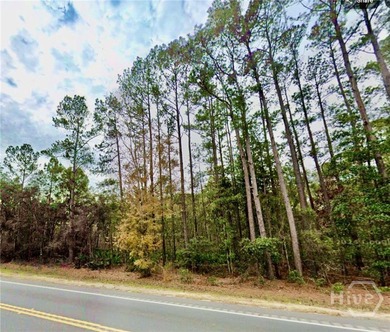 Located along the serene stretch of Fort Argyle Road, this 62 - photo 6