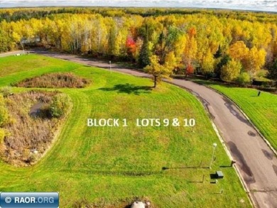 Double lots for sale in Hibbing to build your dream home! This