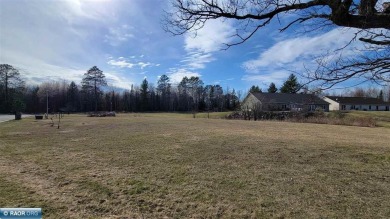 Double lots for sale in Hibbing to build your dream home! This